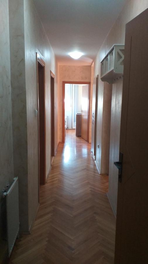 Apartman Anja Новий Сад Екстер'єр фото